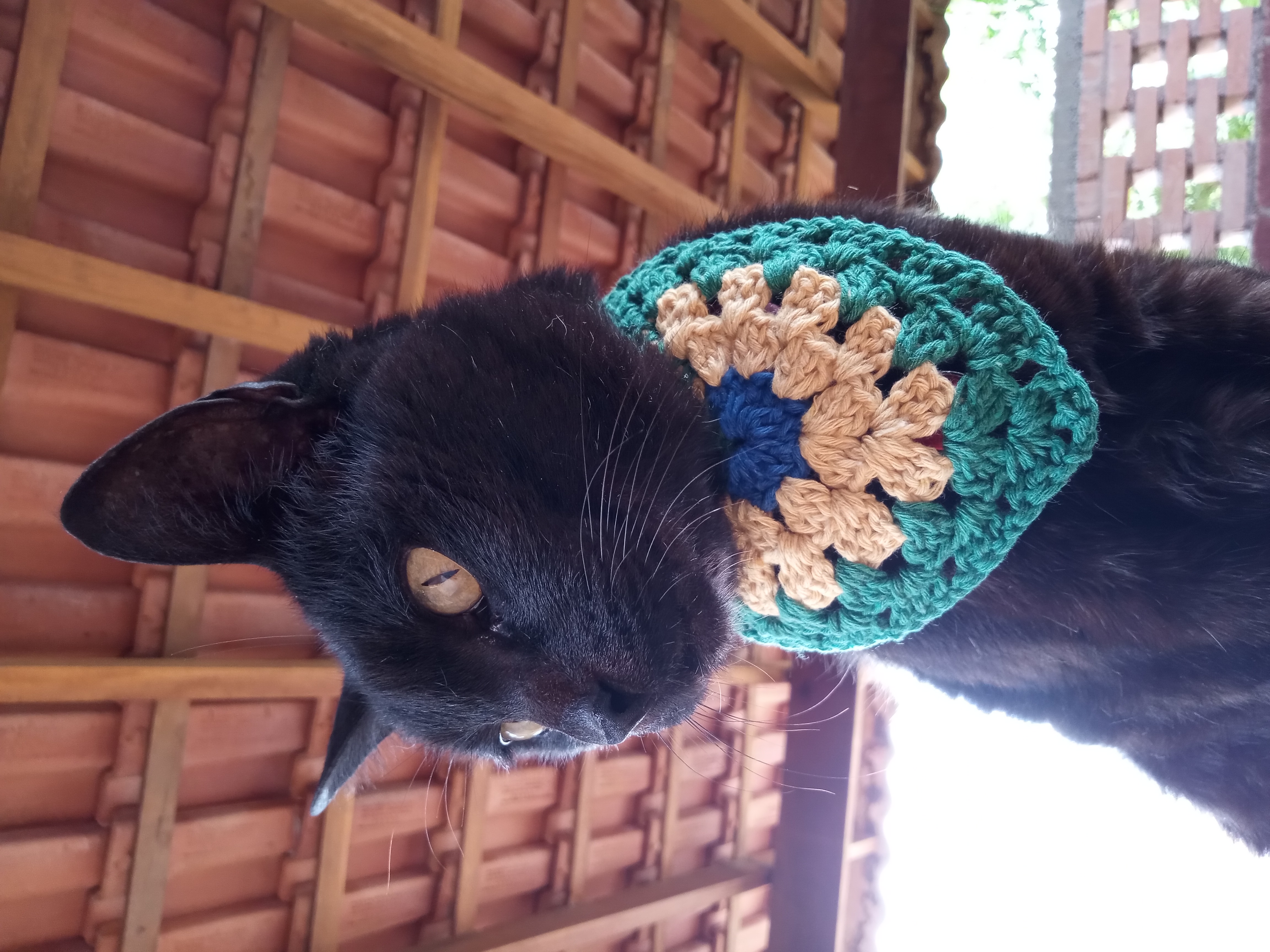 Bandana para Pet pequena Copa do Mundo Brasil