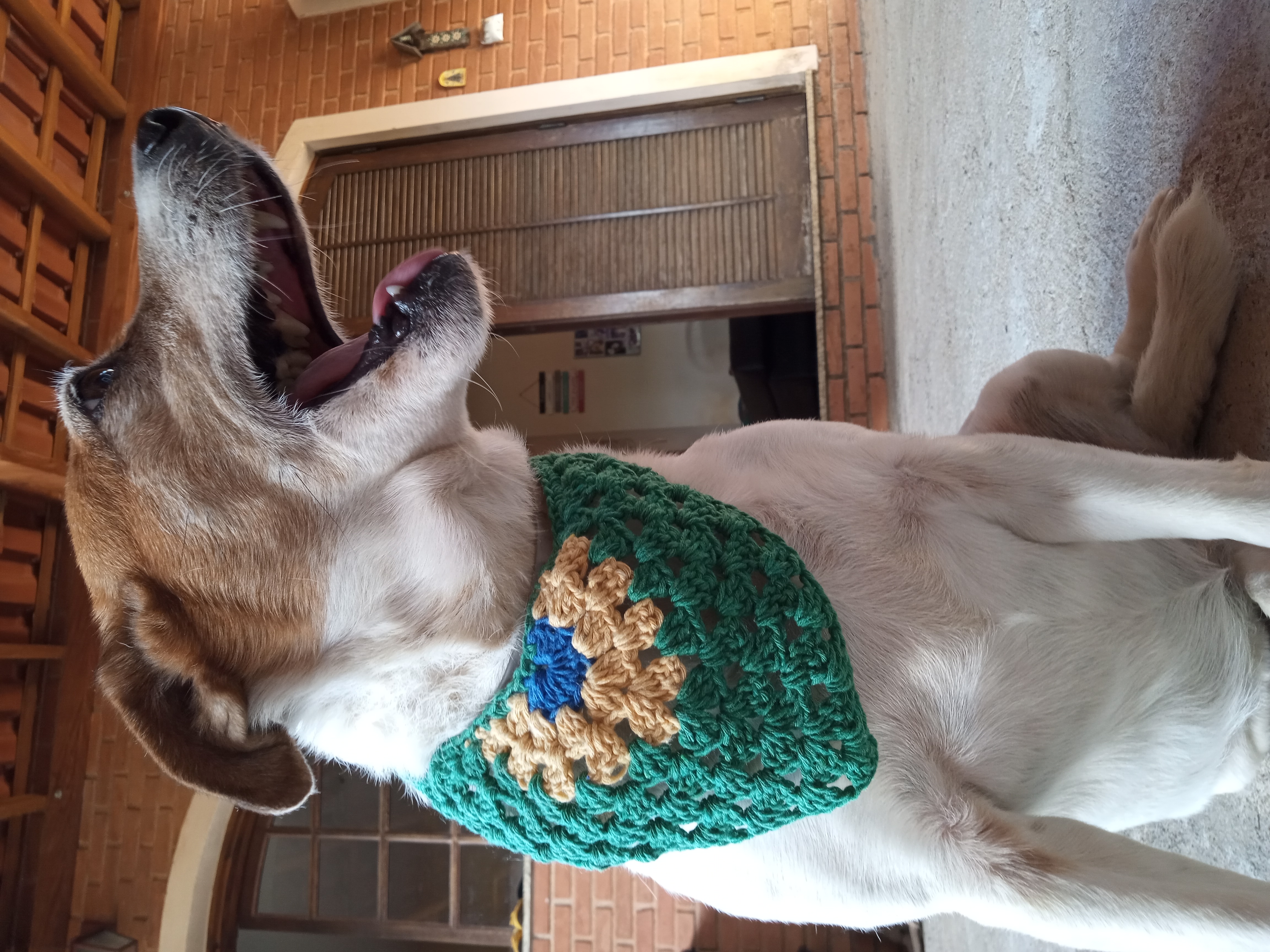 Bandana para Pet Copa do Mundo Brasil grande