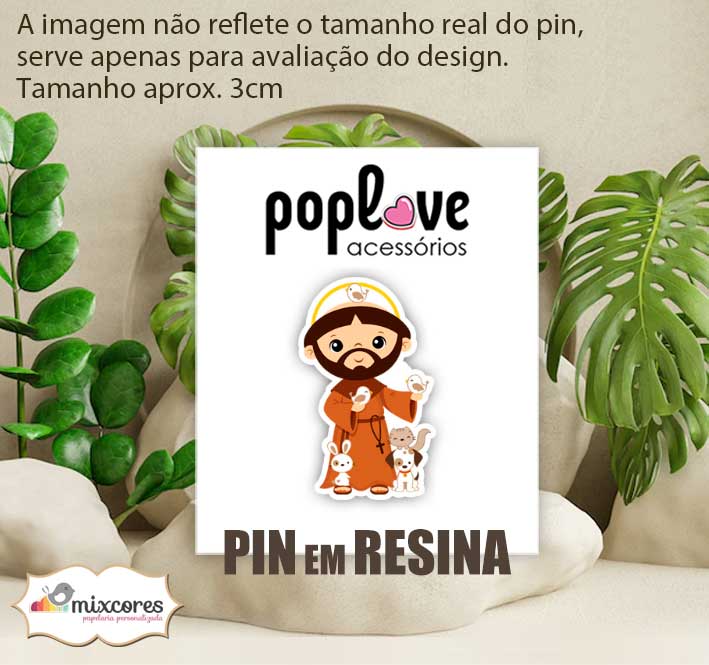 Pin Broche em Resina - São Francisco de Assis