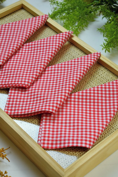 Guardanapo de Algodão Xadrez Vermelho e Branco / 4 Unidades - foto 1