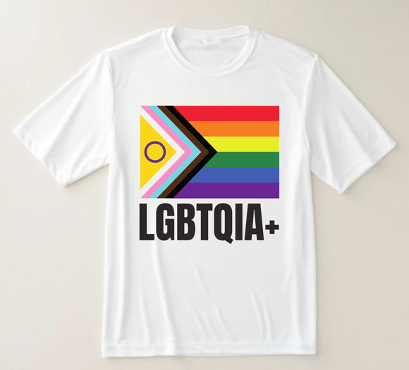 Camiseta Lgbtqia+ Progress Pride - foto 1