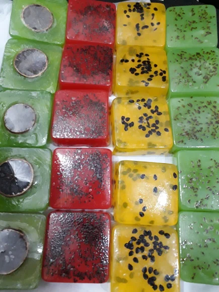 Sabonete Natural de Frutas e Ervas - foto 1