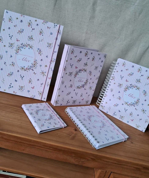 Kit com Livro do Bebê, Caderneta de Saúde e Muito Mais - foto 1