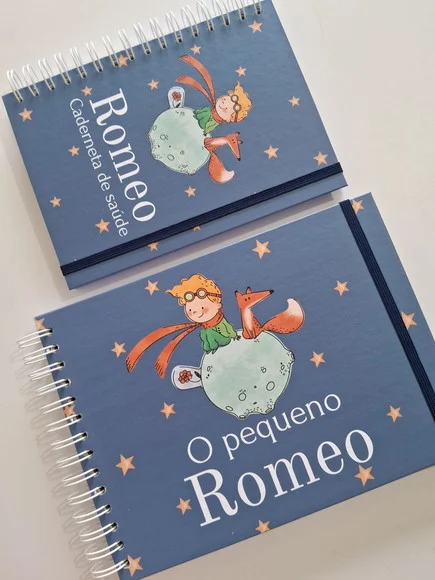 Kit Livro do Bebê com Caderneta do Pequeno Príncipe - foto 1