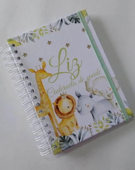 Livro Do Bebê + Caderneta De Vacinação - foto 1