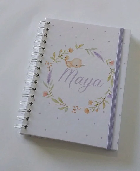 Caderneta De Saúde Personalizada Para Menina - foto 1