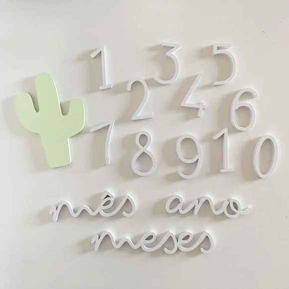 Kit Mesversário - Modelo Cacto / Cactus - Minimalista