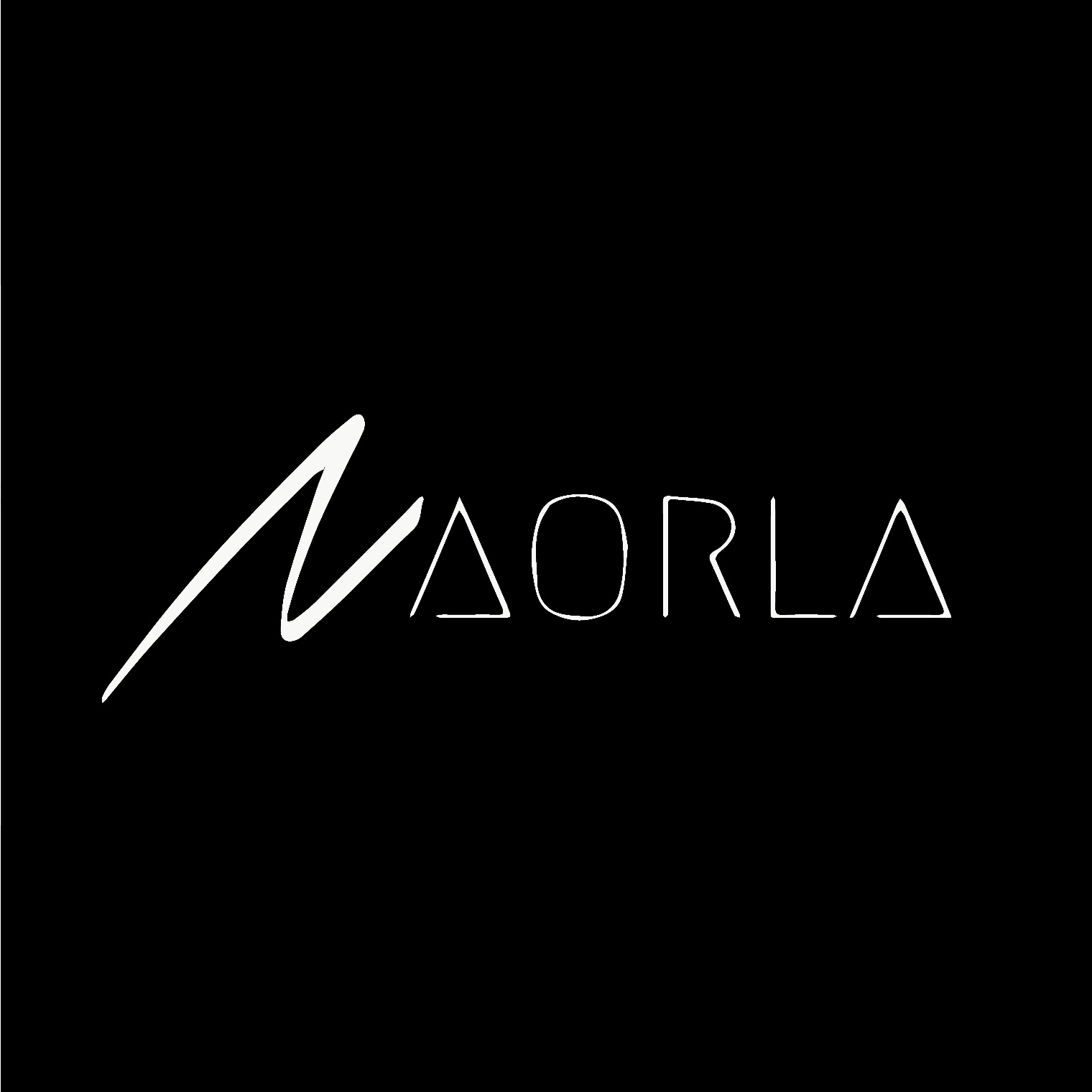 Logo naorla store